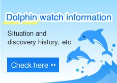 Dolphin watch information